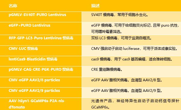 admin 第430页