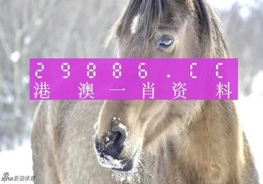 最新 第56页
